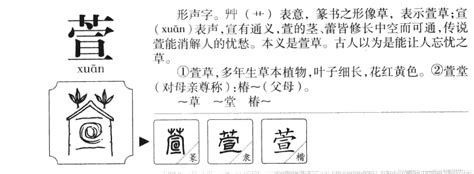 萱名字意思